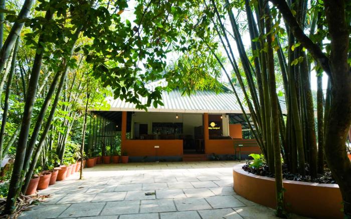 Holiday Courtyard
