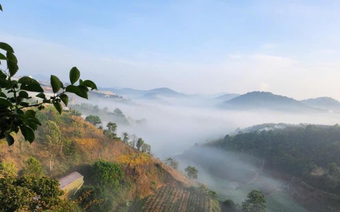 Homestay 3 Tầng Mây