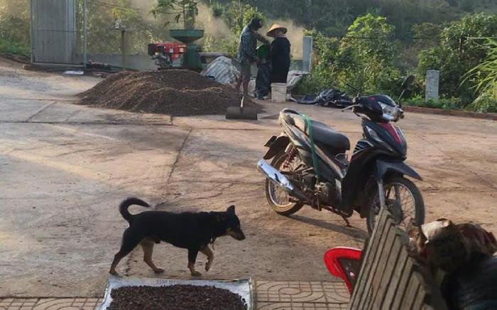 Homefarm | 2Anh_Vietnam | 2Anh_room | Ta Dung lake