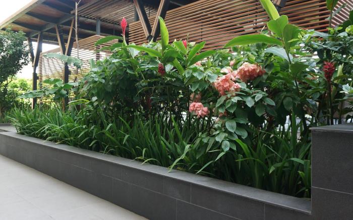 Thea Peak2BR/Infinity Pools