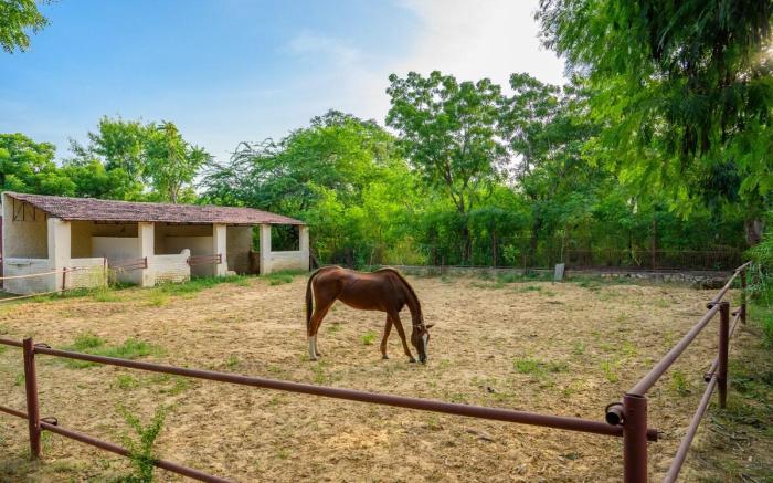 Heritage Pool Villa | 5BHK | Horse Riding & more