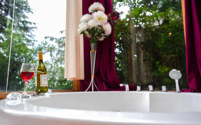 Thecozynest Jacuzzi treehouse