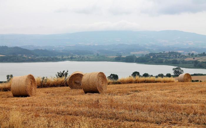 Terracqua & Locanda Granducato