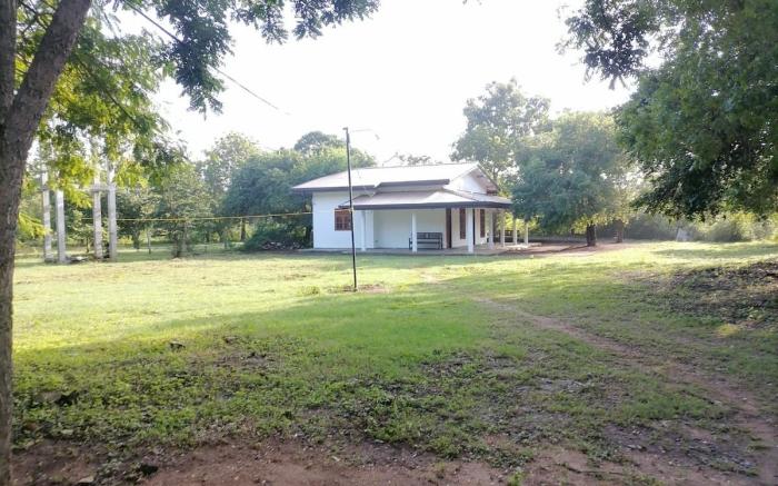 Sasa Green Lodge-AC