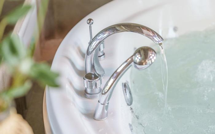 Gapyeong Nami Island Pet-Friendly Spa Pe