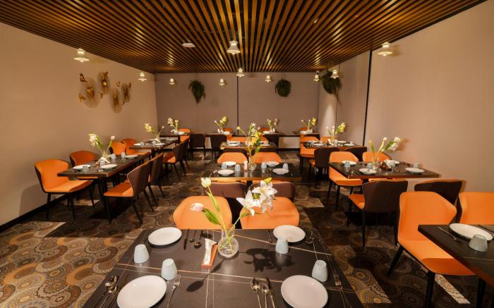 Hotel Ritvi's Elite 