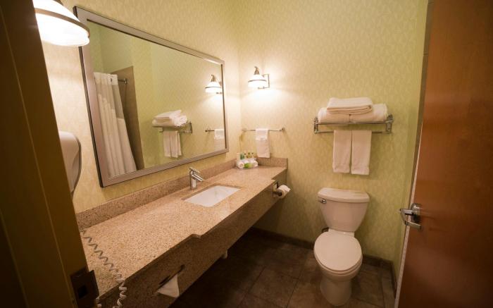 Holiday Inn Express Hotel & Suites Atlanta East - Lithonia By IHG