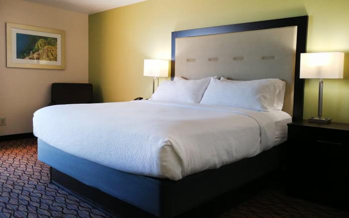Holiday Inn Corpus Christi Downtown Marina By IHG