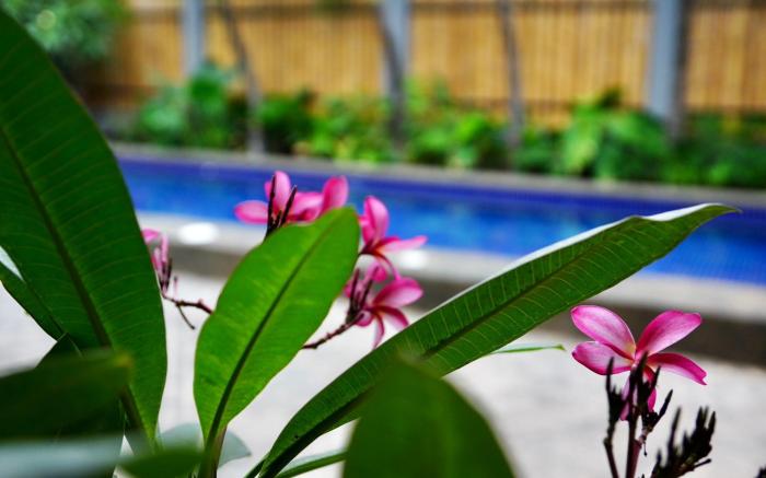Mayfair Garden Resort