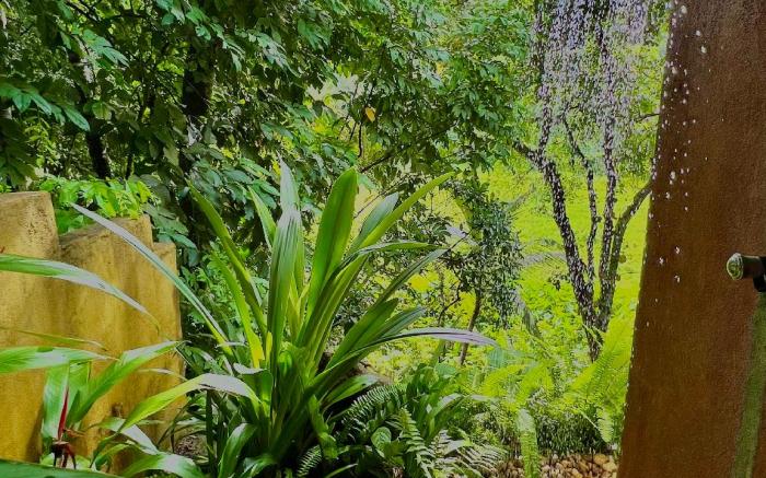 Golden Lotus Bungalow 