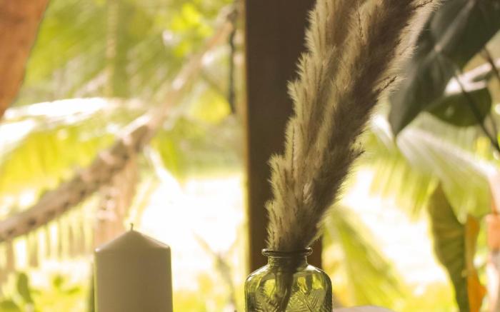 The Monkey Villa