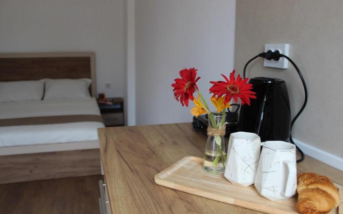 Comfort apartment