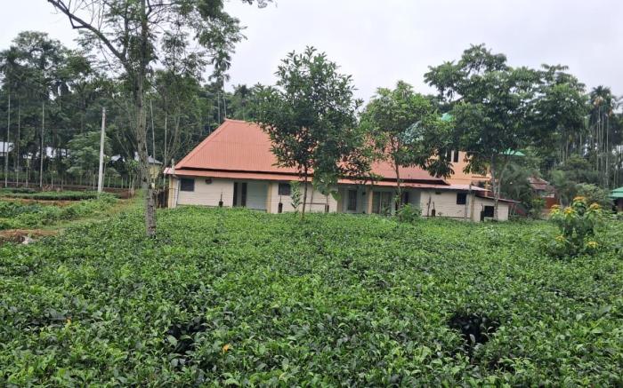 Arannya Nishidin Homestay 