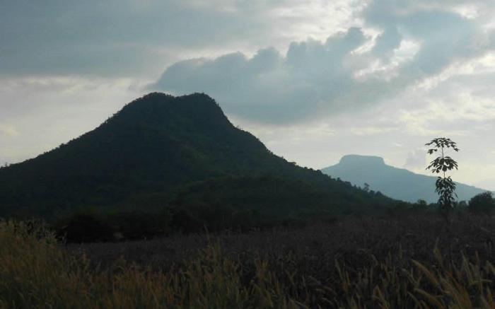 ภูหลวงฮิลล์รีสอร์ท จังหวัดเลย