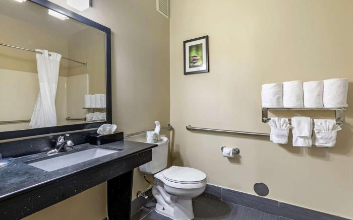 Comfort Suites North Dallas