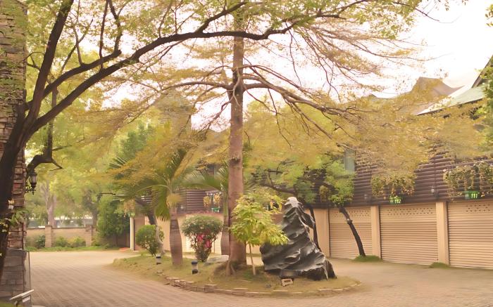 常春藤汽車旅館