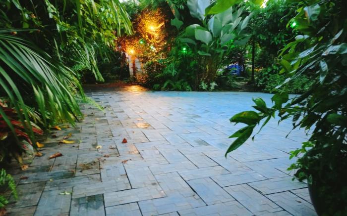Wildfloral cottage Marottichal Thrissur 
