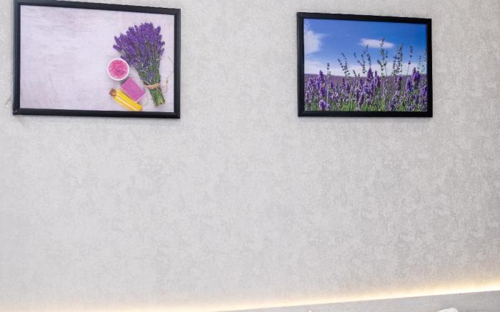 Lavanda hotel