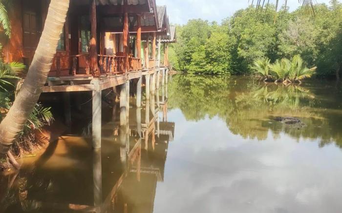 saithai forest homstay