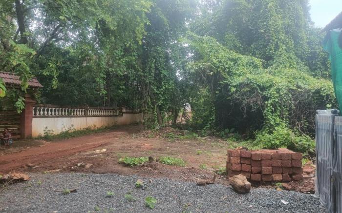 Green Nest 6BR Homestay in Goa by Homeyhuts