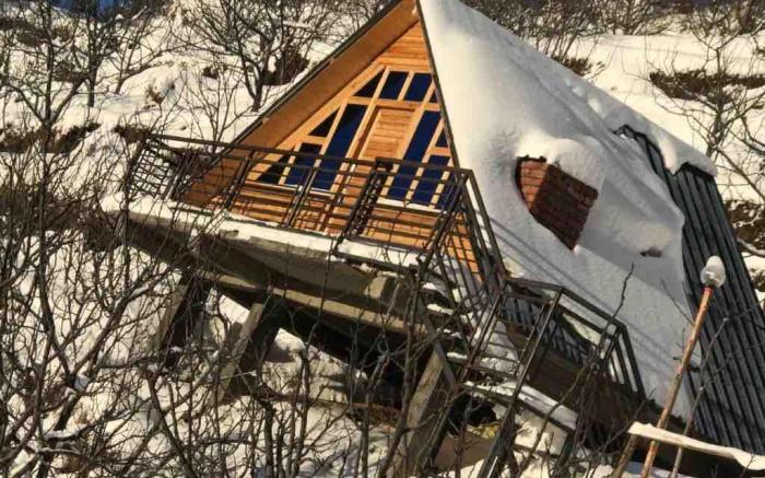 WoodVilla Cottages & Camps (Farm Stay)