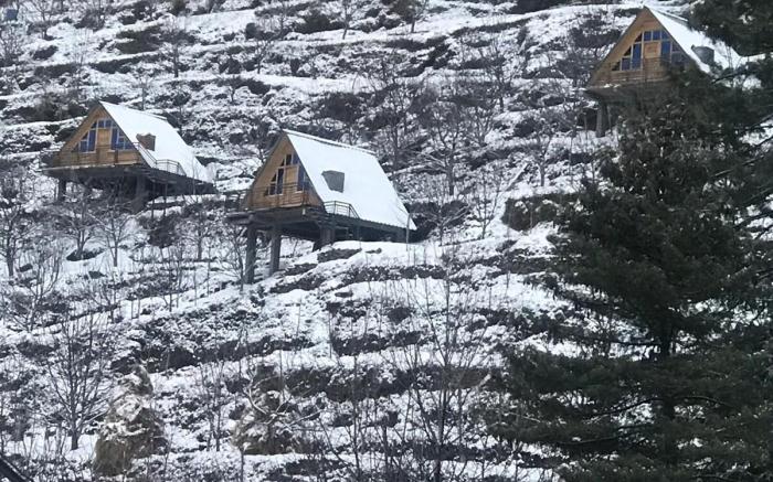 WoodVilla Cottages & Camps (Farm Stay)