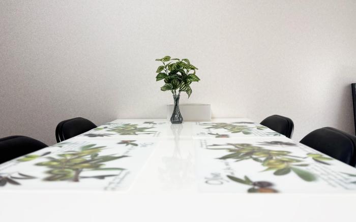 HananoSato Kawaguchi RoomA