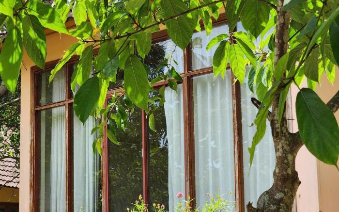 Sunrise Resort Phú Quốc