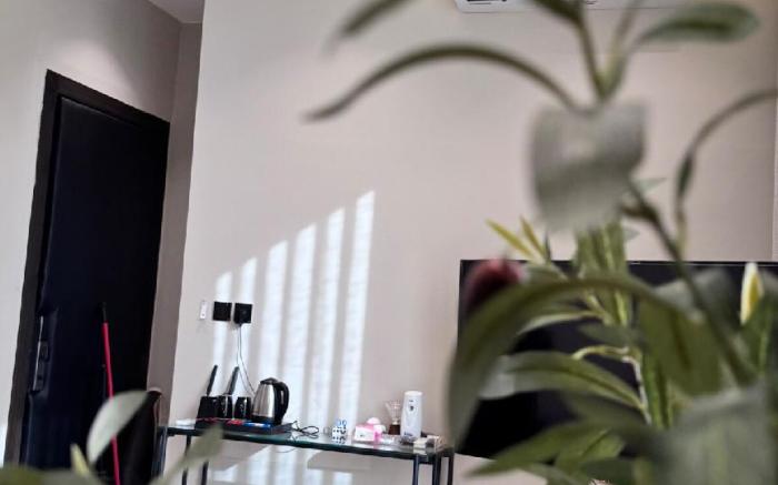 شقة وسم الفندقية