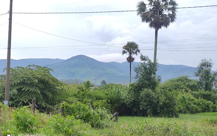 Naga bungalows