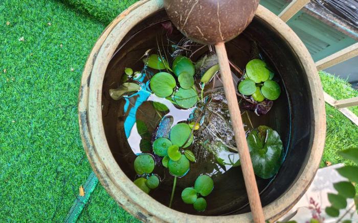 Mị HOMESTAY SÀI GÒN (HỒ CHÍ MINH)