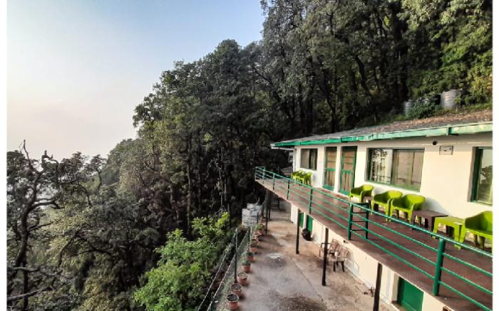 The Bird Suite @ Firs Estate 
