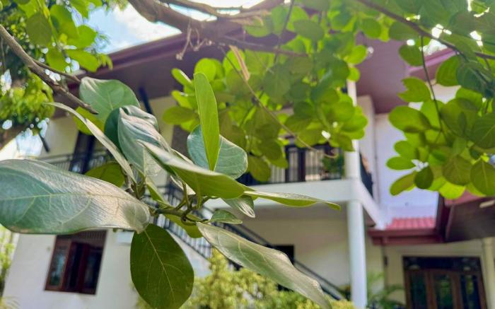 Lake Breeze Villa