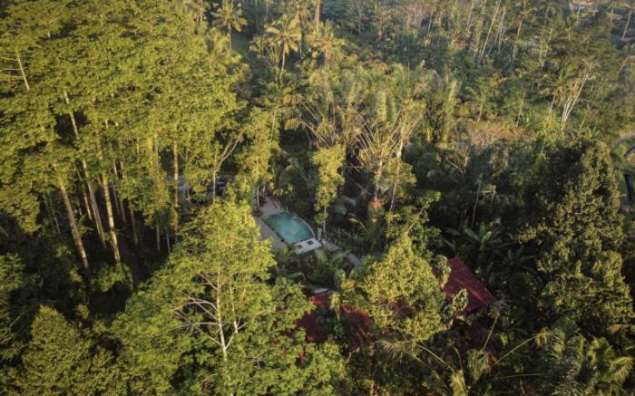 Daydream Lodge