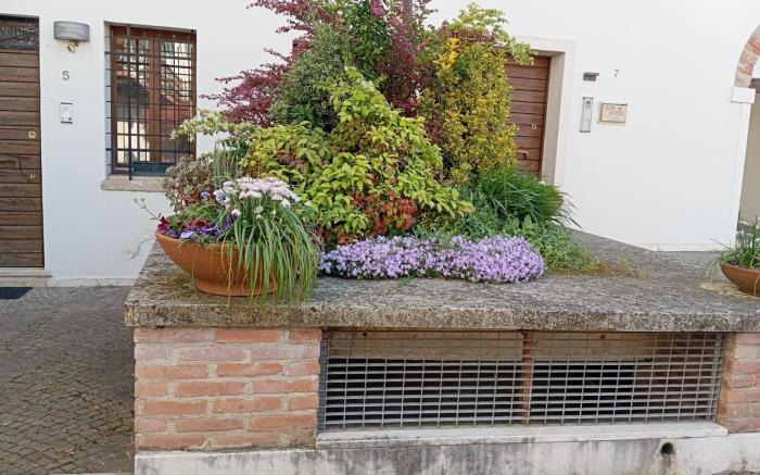 Casa Mirandola in Contrà Sant'Andrea - Primo piano
