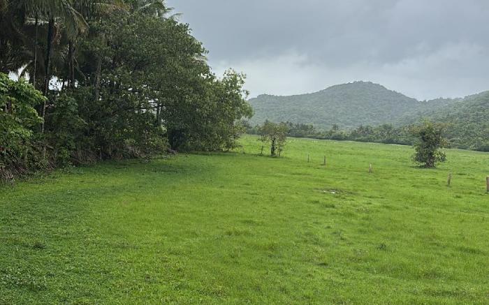 MiCasa by the meadows