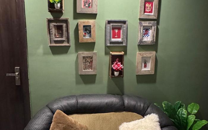 Tropical vibes-Private/Terrace/Cozy space- Gurgaon
