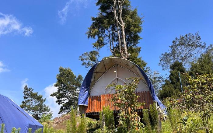 Dieng Glamping Syriah