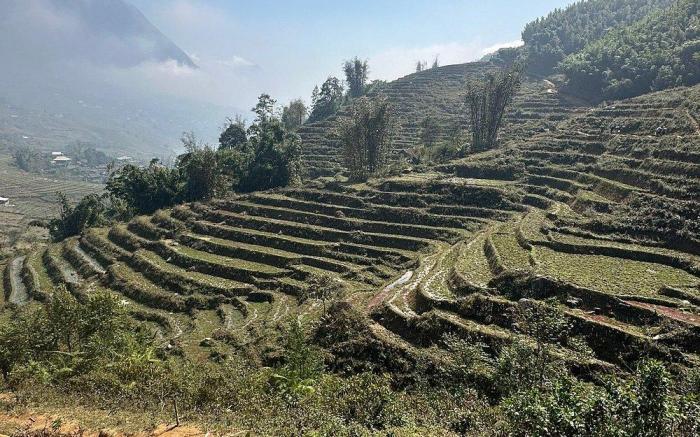 Authentic Homestay Sapa 