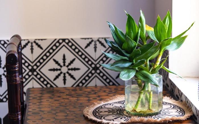 Cy Home - Trạm Dừng Chân