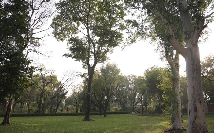 Estherea Bagh  Ranthambhore Tiger Territory