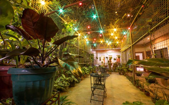Casanas Suites