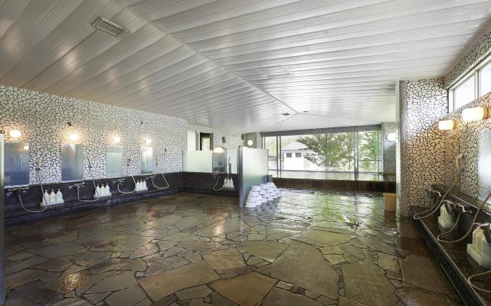 Hakuba Alps Hotel
