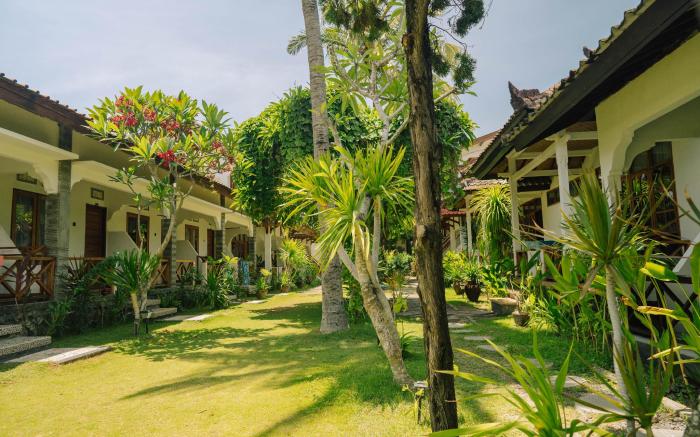 The Confidential Mandalika