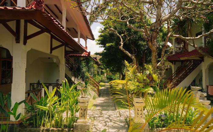 The Confidential Mandalika