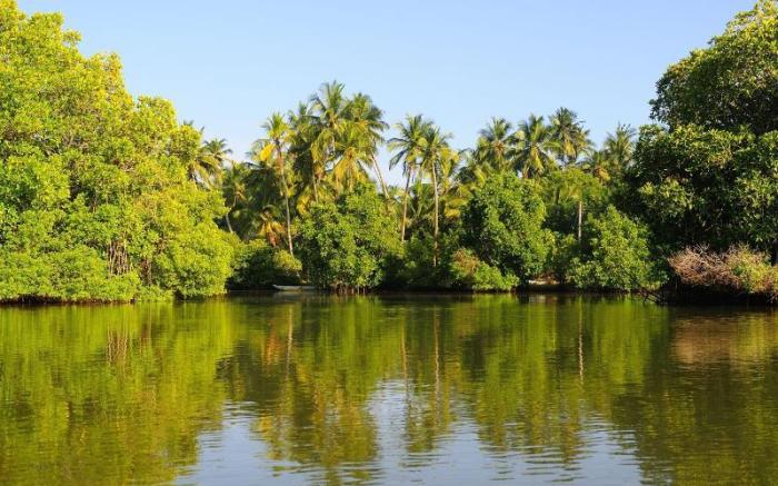 Shehani Beach Bungalow