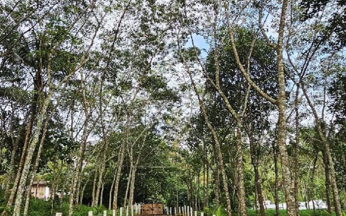 Illam Munnar 