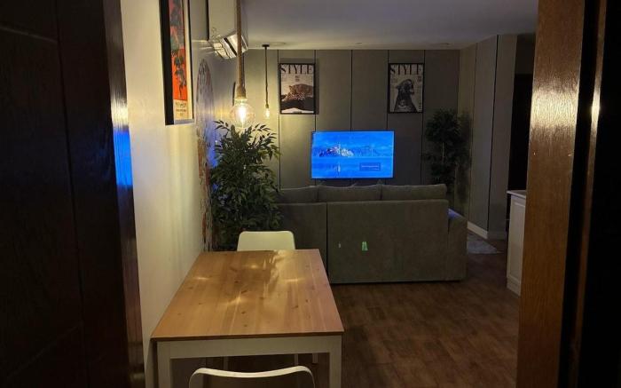 Modern apartment with a different style v70