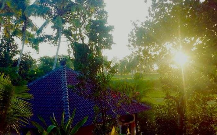 Lasan Mas Guesthouse