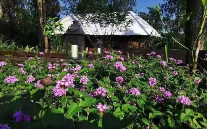YUNTUN STARRY SKY TENT HOTEL